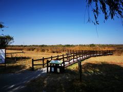 -西青郊野公园