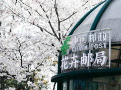 -南山植物园