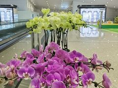 -广州白云国际机场-T2航站楼