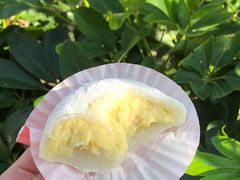 -澳门长洲糯米糍(柯打苏沙街店)