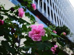 -成都工业学院(郫都校区)