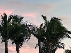 -三亚亚龙湾万豪度假酒店