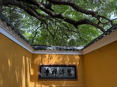 -普陀山慧济禅寺