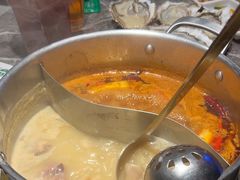 -禄婶鸡煲·打边炉