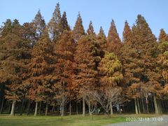 -同里国家湿地公园