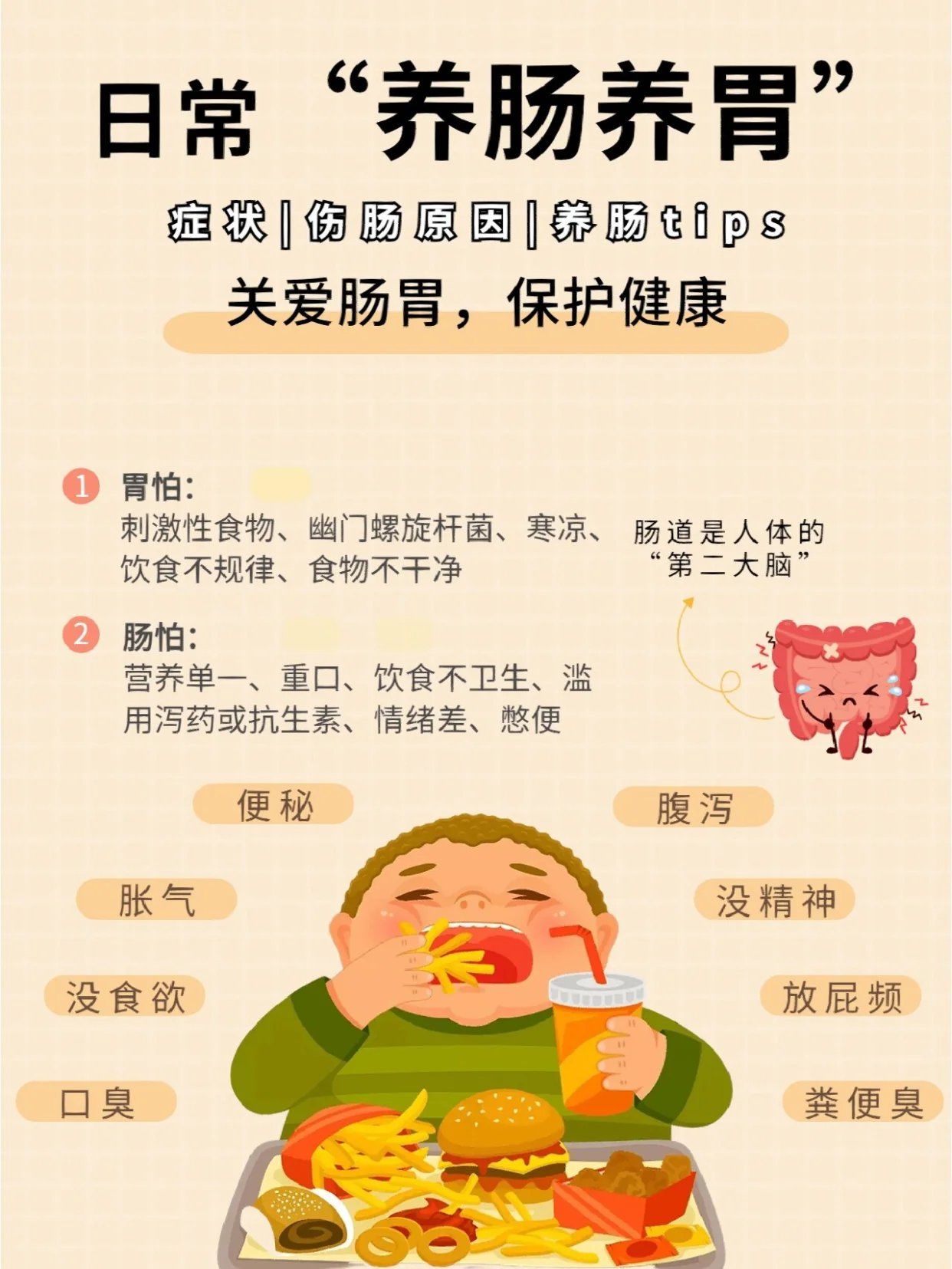 肠道养护