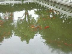 android_upload_pic-龚家花园农家乐休闲别墅