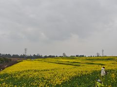 -三圣花乡旅游区