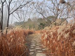 -梁鸿国家湿地公园