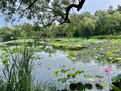 -承德避暑山庄景区
