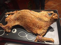 -九十九顶毡房(阜石路店)