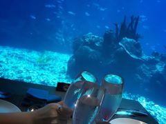 -海棠湾洲际-涛·海底餐厅·美人鱼·自助餐·海底隧道
