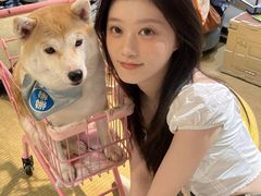 -逗柴咖啡屋·狗咖猫咖宠物桌游