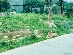 -西安秦岭野生动物园