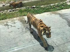 -西安秦岭野生动物园