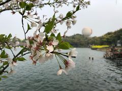 -天目湖山水园