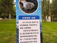 -青藏高原野生动物园