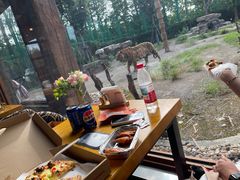 -上海野生动物园老虎餐厅