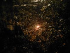 -徐妹串串香(春熙路店)