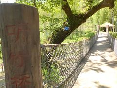 -萍乡武功山风景名胜区