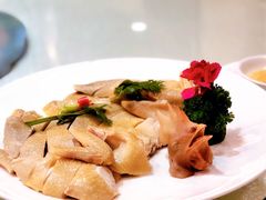 -太子园林酒家