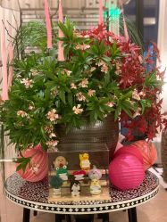 -RUMI日弥美容会所