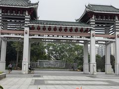 -王借岗森林公园