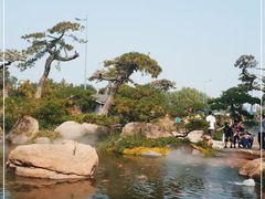 -罗红摄影艺术馆