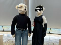 -济州岛泰迪熊博物馆