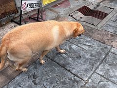 -建兴酒家(班塔通分店)