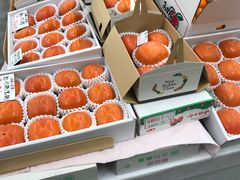 -黑潮市场