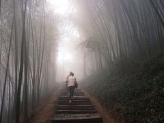 -西湖风景区十里琅珰-五云山