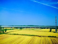 -尊尚柏丽美容SPA