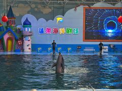 -蓬莱欧乐堡海洋极地世界