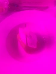 -上海喜玛拉雅酒店-宴会中心