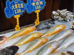 -孙大厨鸽子馆(丰收路店)