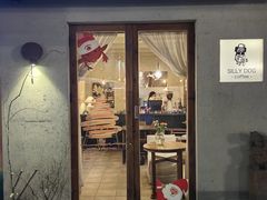 -Silly Dog Coffee(滨江店)