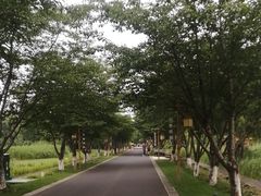 -长田漾湿地公园