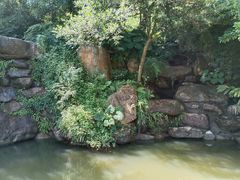 -广州市帽峰山景区