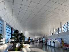 -郑州新郑国际机场-T2航站楼