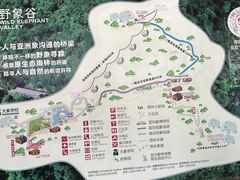 -野象谷景区