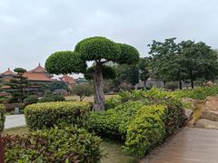 -广东圆玄道观
