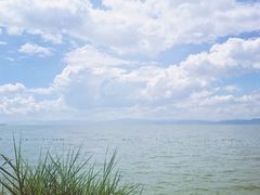 -呈贡滇池生态湿地公园