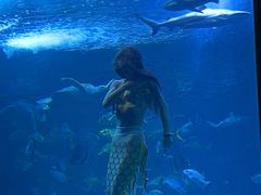 -太平洋海底世界