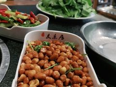 -友乐居羊蝎子(西直门店)