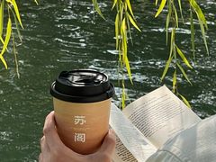 -晓港公园