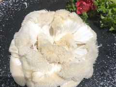 鲜猴头菇-旺小胖小龙虾