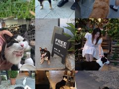 -自由生长植物工作室(深港花卉中心店)