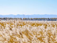 -野鸭湖国家湿地公园