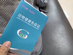 -北京观赏动物医院·24小时大型综合·猫专科·异宠专科